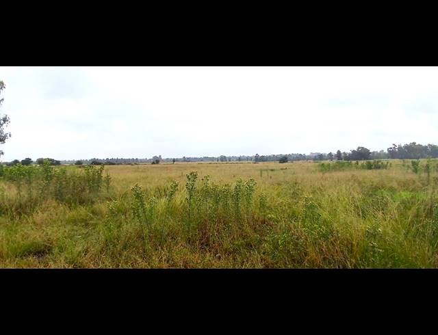 59,512M² VACANT LAND FOR SALE IN MEYERTON PARK